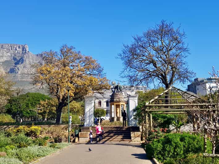 Cape Town: Museum Walking Tour