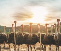 Tour classico del percorso del giardino privato - Housity