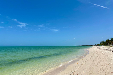 Campeche: Palenque, Sabancuy, & Palizada 2-Day Tour