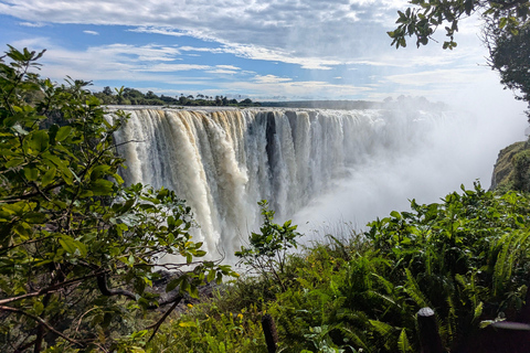 Victoria Falls: Guided Walking Tour with Local Guide