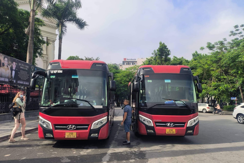 Från Hanoi: Halong Bay dagstur med grotta, ö och kajak