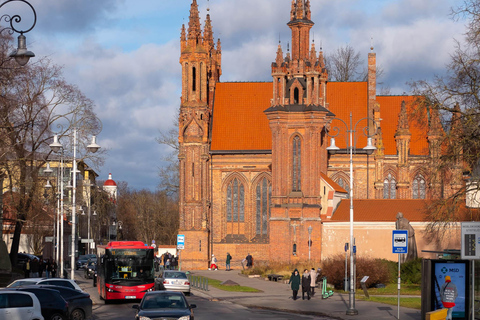 Vilnius: Privé stadsrondleiding van een halve dag met een minibusje