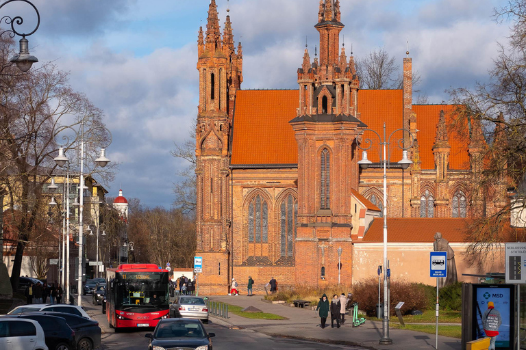 Vilna: Tour privado de medio día por la ciudad en monovolumen