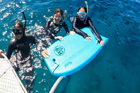 Waikiki: AM Paradise Honu SnorkelingWaikiki: AM Paradise Honu Snorkelen