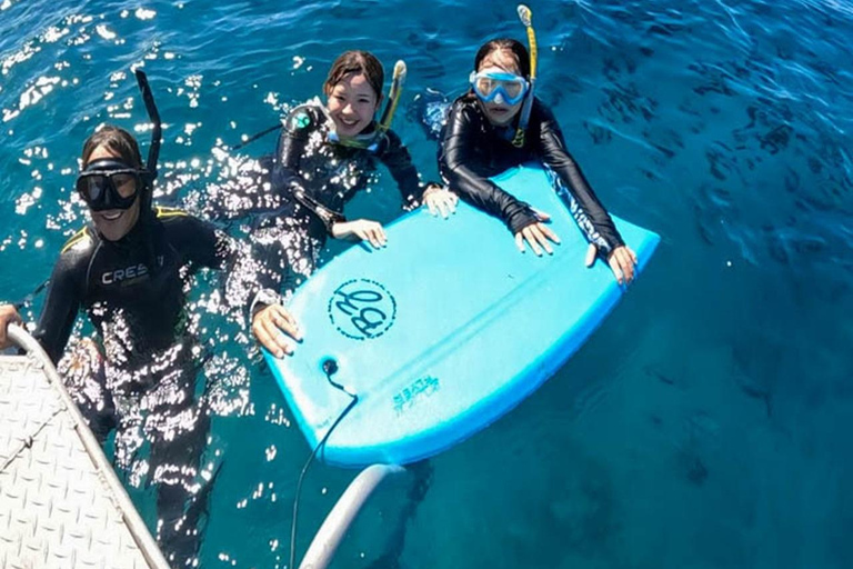 Waikiki: AM Paradise Honu SnorkelingWaikiki: AM Paradise Honu Snorkelen