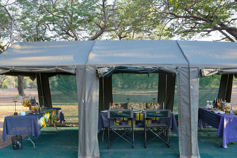 Kasane: Chobe National Park: 2 Nights Semi Luxury camping