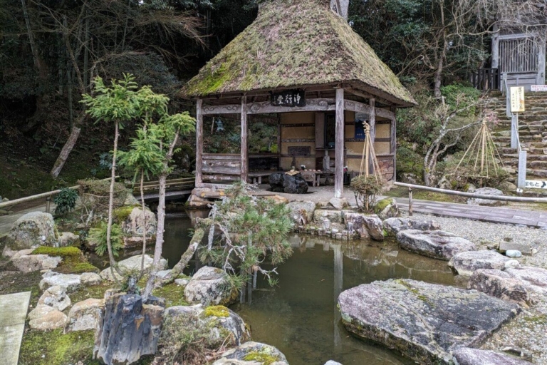 Vanuit Kanazawa: Stranden, 400 jaar oude tempels & Buitenaardse wezens