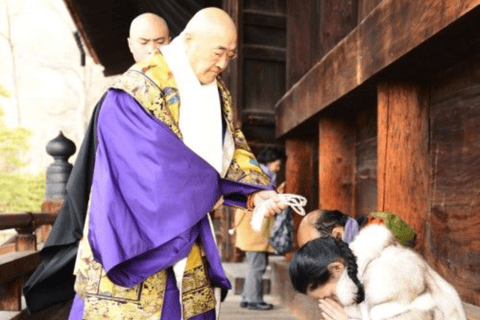 Snow Monkey & Zenko-ji Temple Customizable Private Tour