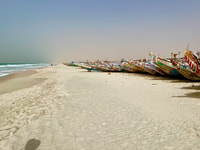 Nouakchott ,Visite du port de pêche et son marché au poisson - Housity