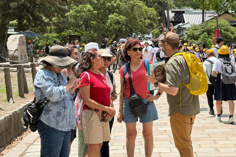 Nara in Spanish: Half-Day Small Group Sightseeing Tour or Private Tour Small Group: Half Day in Spanish