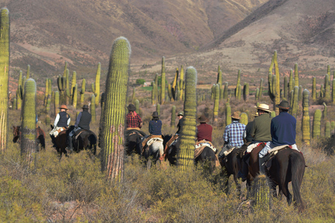 Horseback riding in the Calchaquí Valleys - Salta - Argentina