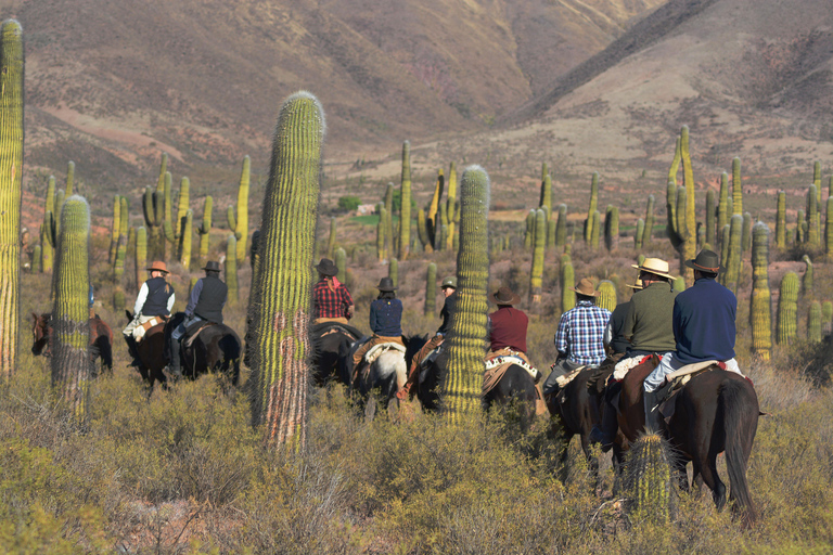 Horseback riding in the Calchaquí Valleys - Salta - Argentina