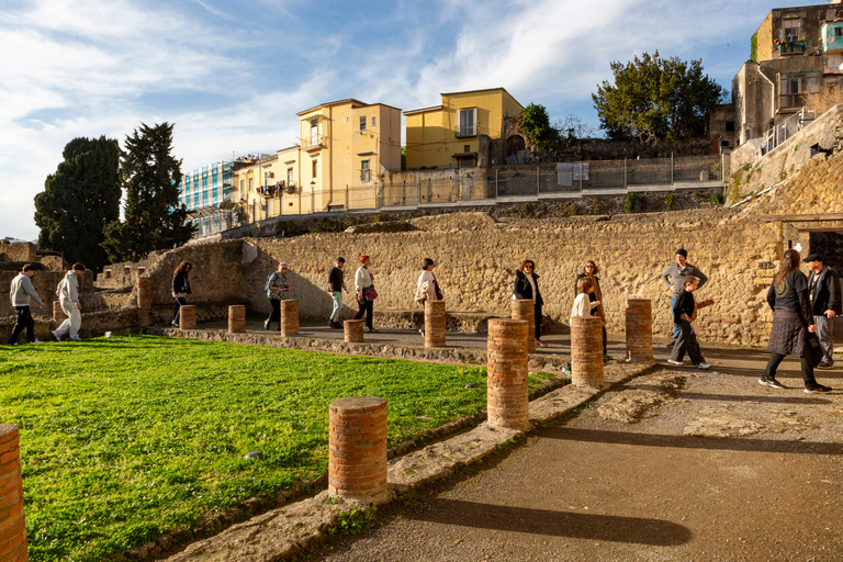 Naples/Salerno Port: Pompeii & Herculaneum - Optional lunch FROM NAPLES: Semi Private Group - NO LUNCH