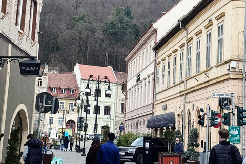 From Bucharest: Dracula Castle, Peles and Brașov Day Trip
