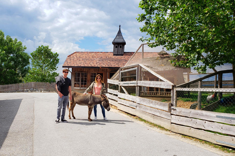Salzburg Zoo Hellbrunn Skip-the-line Tickets & Private Car