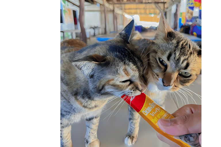 Phuket/Khao Lak: James Bond & Khai Island Tours wt Sea Canoe Khao Lak: James Bond & Khai Island with Sea Canoe