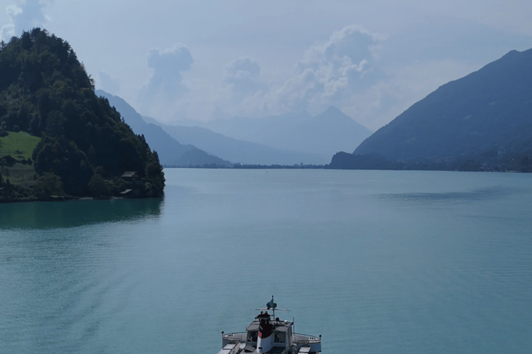 Excursión Aterrizaje forzoso en ti - Explora Suiza