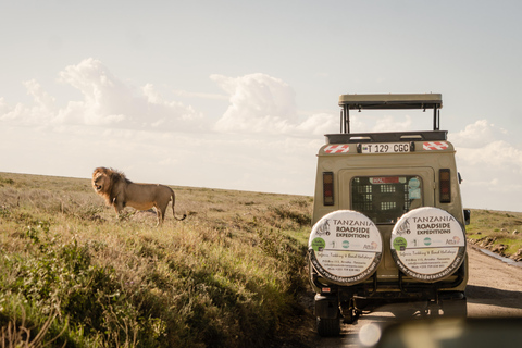 Day trip to Tarangire National Park