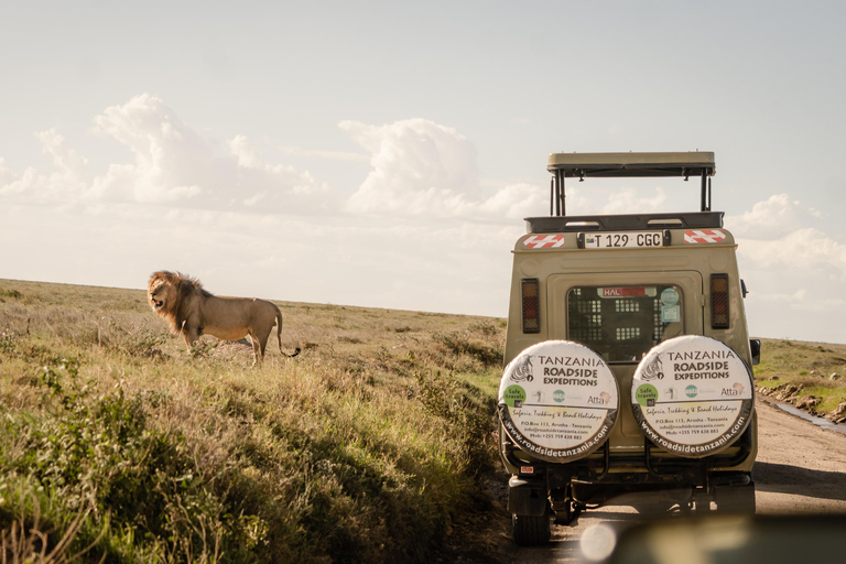 Day trip to Tarangire National Park