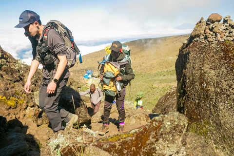 7 Días Kilimanjaro Lemosho Trek