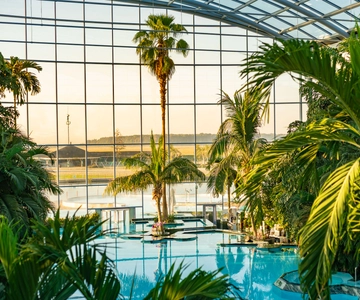 Ingresso e transferência para o Therme Bucareste