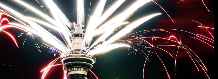 Visite en petit groupe des attractions phares d'Auckland