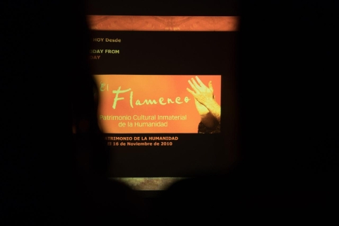 Malaga: Flamenco Alegría Interactive Center