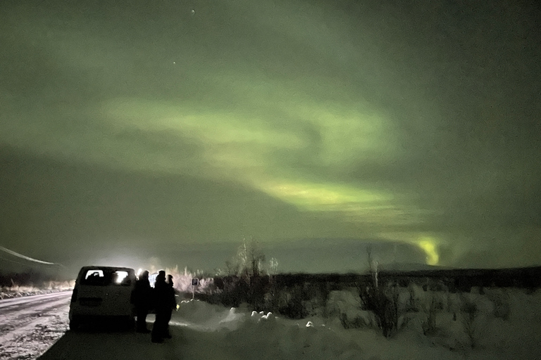 Excursion en minibus dans le parc national d'Abisko pour observer l'aurore boréale