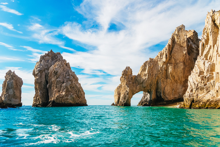 Cabo San Lucas: Whale Watching Catamaran Experience