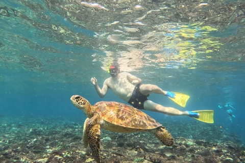 Desde Ceningan Experiencia de snorkel con tortugas