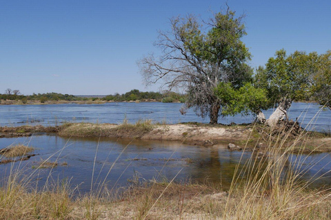 Victoriafallen: Guidad tur Zambia och Zimbabwe