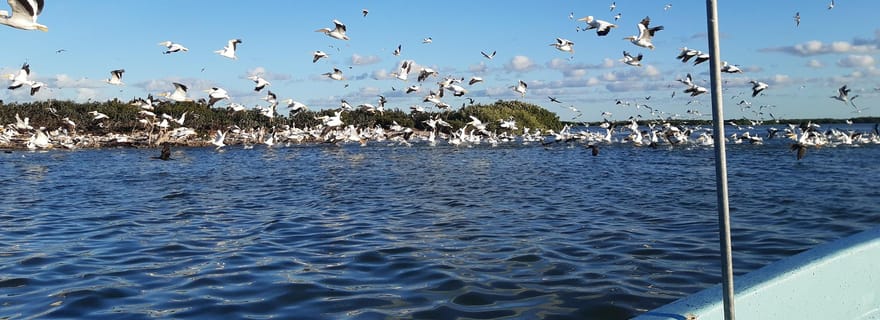 Rio Lagartos et San Felipe : Isla Cerritos, circuit d'aventure et culture maya.