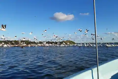 Rio Lagartos et San Felipe : Isla Cerritos, Cenote Kambulnah et Pesca.