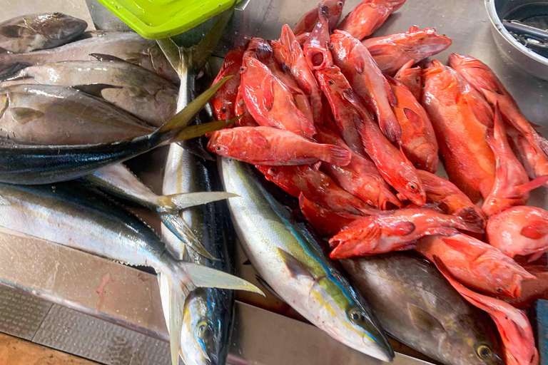 Wyspa Boa Vista: Całodniowe odkrywanie z północy na południeCałodniowa wycieczka po wyspie Boa Vista