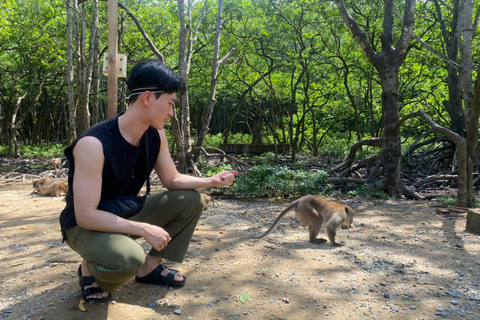 From Ho Chi Minh City: Can Gio Monkey Island 1-Day Tour Regular Group Tour: Ho Chi Minh City to Can Gio & Lunch