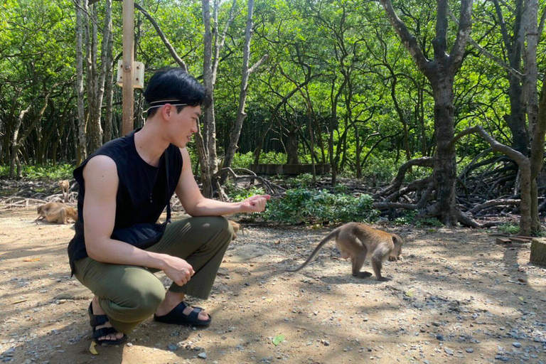 From Ho Chi Minh City: Can Gio Monkey Island 1-Day Tour Regular Group Tour: Ho Chi Minh City to Can Gio & Lunch