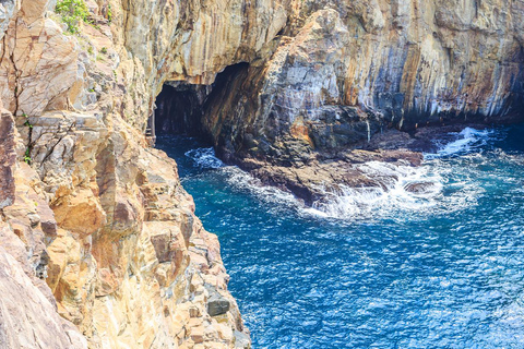 Osaka: Wakayama Cat Train, Seafood market, Hot Springs Tour