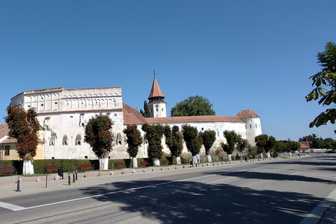 Romania: tour di 7 giorni con alloggio e pastiRomania: tour di 7 giorni con alloggio e pasti inclusi