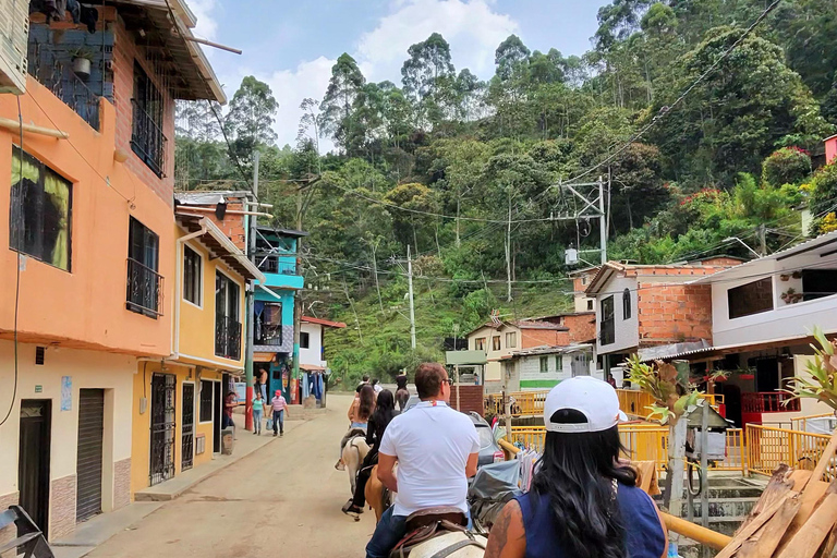 麦德林：山区骑马之旅