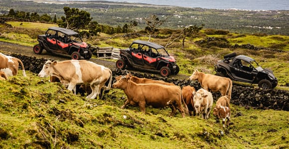 Pico Island: Buggy Tour of Pico Island and Faial Island
