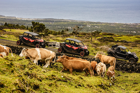 Pico Island: Buggy Tour of Pico Island and Faial Island Pico Island: Currais de Vinha