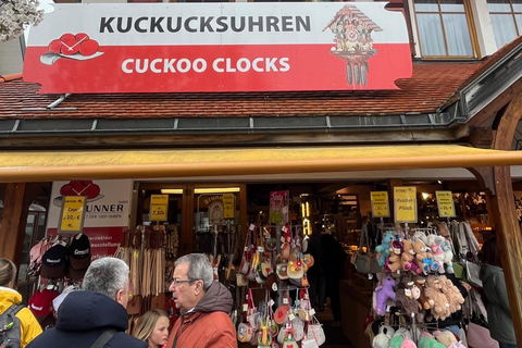 Vanuit Bazel: privé-excursie naar het Zwarte Woud, watervallen en meren