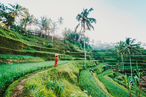 Ubud: tour de las epectaculares cascadasTour de cascadas con arrozal y columpio en la selva