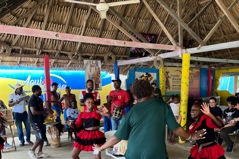 Cartagena: Viagem de 1 dia a Palenque com almoço e espetáculo de dança