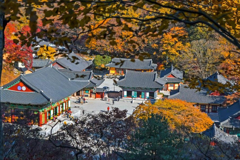 Naejangsan: Hoogtepunt van een Koreaanse herfst dagtrip vanuit SeoulRetourvlucht vanaf Myeongdong Station Exit 3