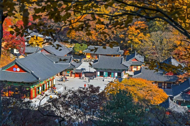 Naejangsan: Hoogtepunt van een Koreaanse herfst dagtrip vanuit SeoulRetourvlucht vanaf Myeongdong Station Exit 3