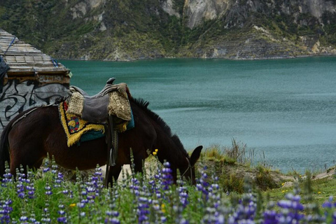 Da Quito: Tour di un giorno della laguna di Quilotoa con pranzo