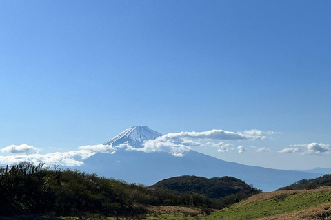 Tokyo: Mt. Fuji &amp; Hakone Cherry Blossoms Private Day Tour