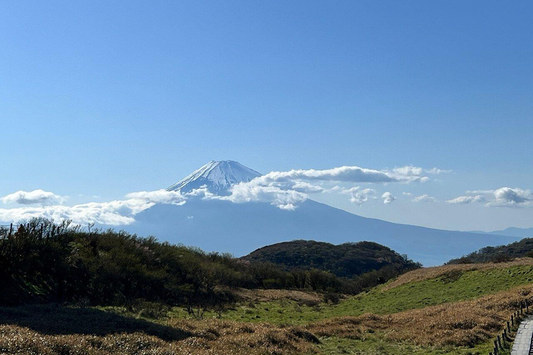 Tokyo: Mt. Fuji &amp; Hakone Cherry Blossoms Private Day Tour