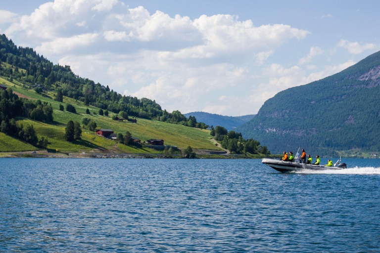 Olden: Nordfjord RIB rondvaart met live commentaar